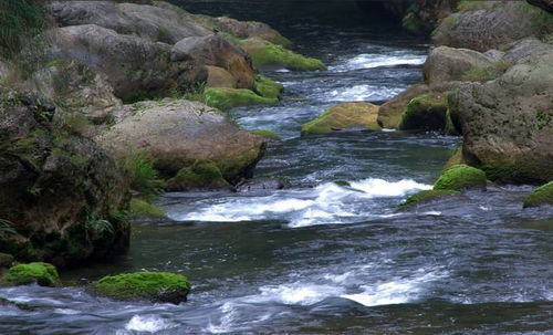 交通篇：花钱买罪受的极致体验
