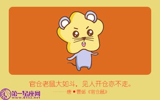 生肖鼠：好奇心+疑惑=怒火