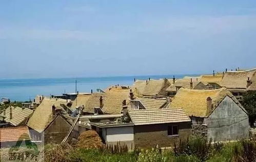 海鲜市场的套路比海深