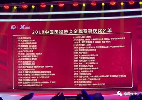 2. 分类？那是什么可以吃吗？