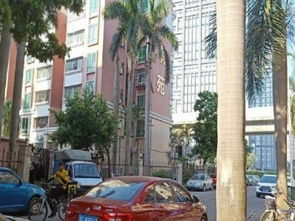 一、 黄埔花园：名字听起来像老奶奶做的酱菜，却是个“崭新”景点