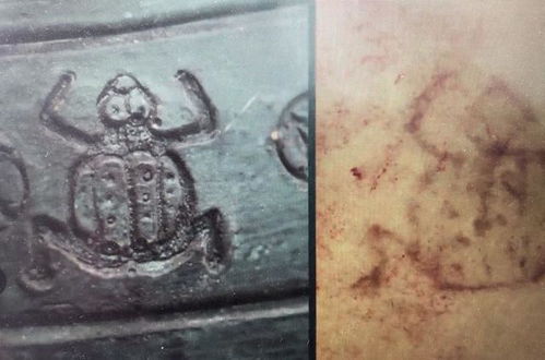 香消玉殒的生肖是哪个？打一生肖嫩表达香消玉殒的含义吗？