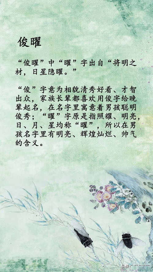 离谱案例赏析