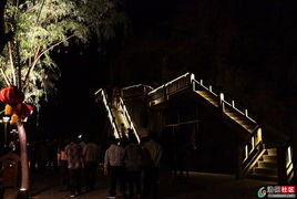 那东西夜晚， 我看到了龙门