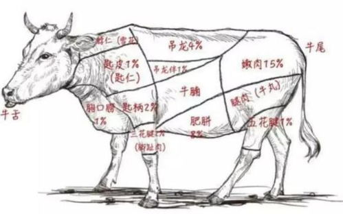 一、 名字背后的奇葩历史持续发展碎片