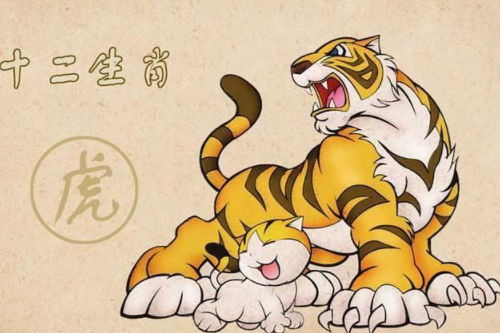 属虎人年底出生的八字命运如何，这样的命理好吗？