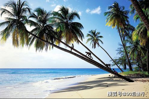 三亚：炎热带天堂的悠闲时光