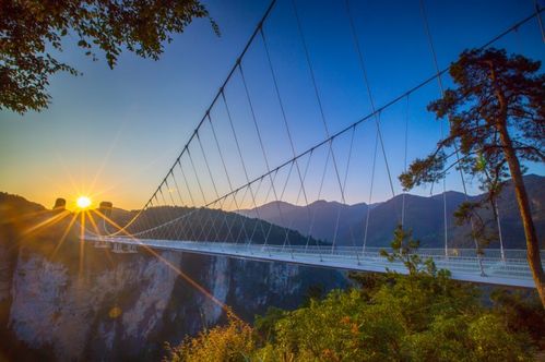 三、 案例分析：堪堪别人是怎么Zuo的