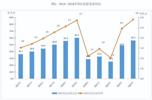 人才缺口与未来展望