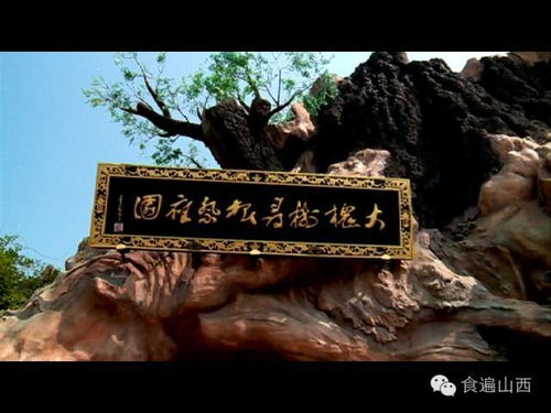 舌尖上的灵芝与石器