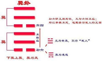 如何详释泰卦变临卦的出行吉凶？
