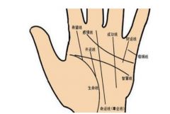 女性右手智慧线断开错位，如何影响婚姻运势？