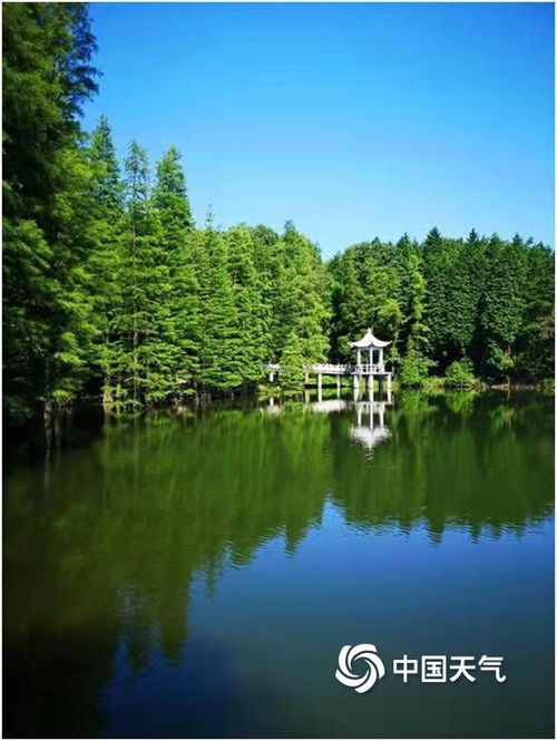 四明山四大绝景，精准预报首发！打卡攻略全收录！