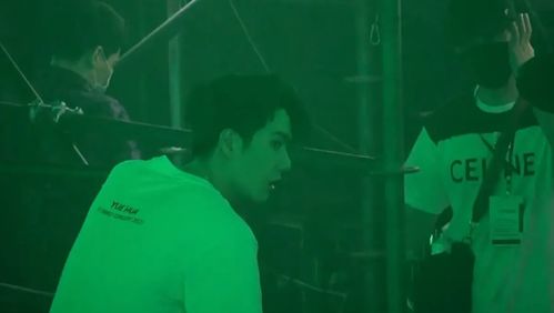 一、 阴阳失衡的镜中面孔——生肖乱入