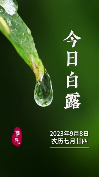 9月8日是白露吗？白露在农历是哪一天？