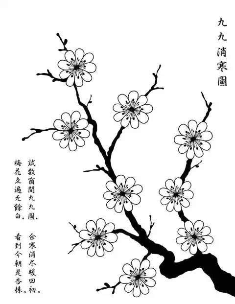 十二生肖中杏花代表哪个生肖，梅花杏花所指生肖是什么意思？