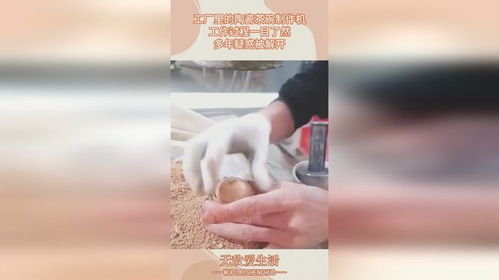 二、产品性能到底咋回事？