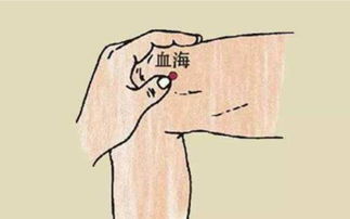 龙脉与窝穴：缺一不可