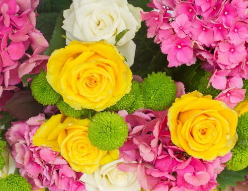 绿色：生机勃勃, 孕育无限商机