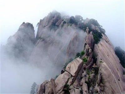 2. 庐山石耳：山里的珍馐美味