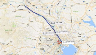 上午：登上高崎山，俯瞰全城