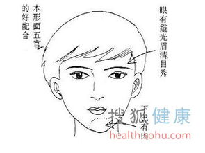 鼻子大=财运旺？这科学吗
