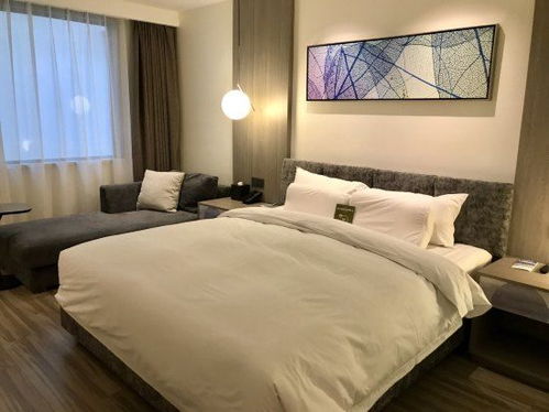2026年惊悚大片：我在重庆住酒店