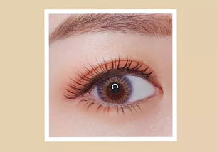 2. 睫毛短粗，夫平庸——这也是命