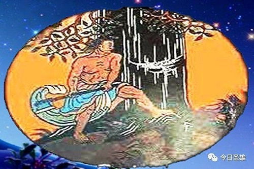 第一章：蟾宫折桂背后的凶煞风水局