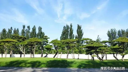 四、 案例分析 & 实战经验分享（乱七八糟版）