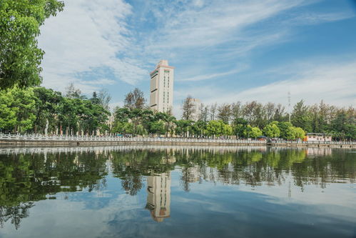 长春，一座让人又爱又恨的城市