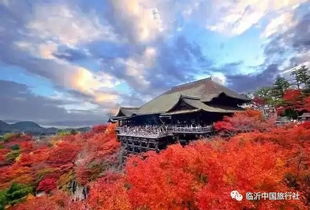 西山国家地区森林公园——崭新晋网红地， 却保持原生态