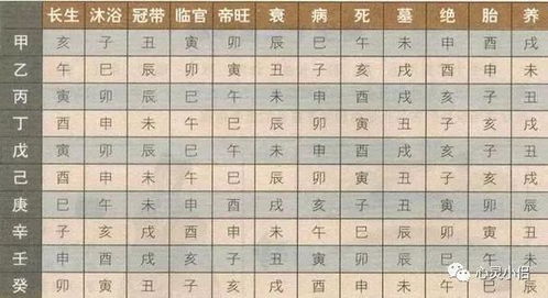八字堪财运如何准确预测个人财运走势？
