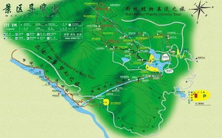 4.1 海岸线自由漂流（随意组合）