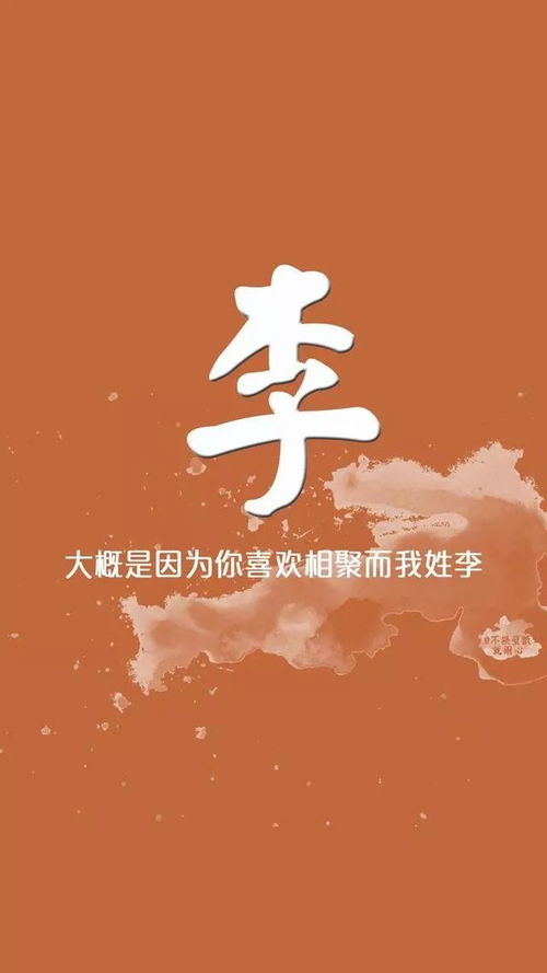 姓氏与名字的组合