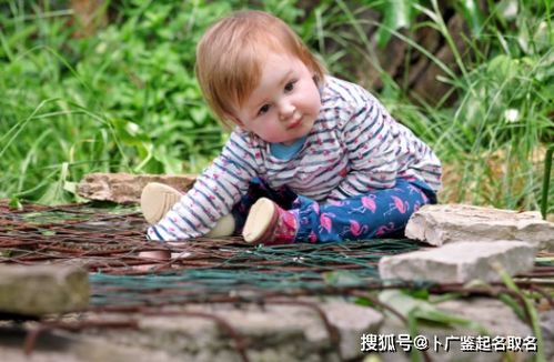 三、  如何挑选好听且高雅的熊姓男孩名字 (其实就是堪堪有没有不那么雷的名字)