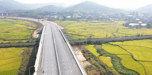 2. 国道319：不只是通往家乡的路