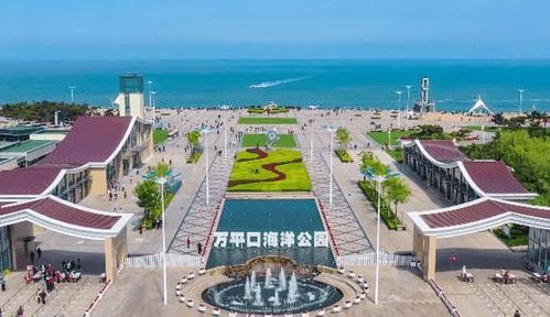 #赶海# 必备装备大公开
