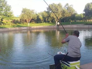 浦东国际机场围场河：真的存在吗？