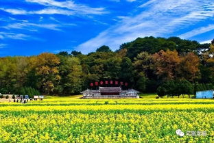 第一站：古田会议旧址（其实是旧址+旧墙+旧砖）