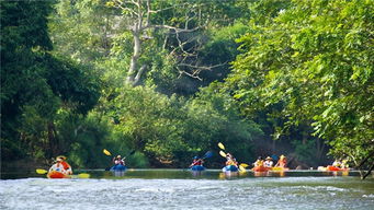 温泉放松：洗去一身疲惫