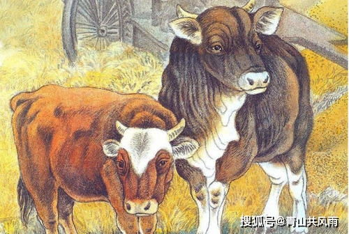财运方面：捂紧你的钱包