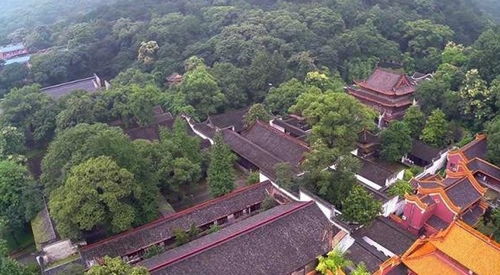 北门才是王道！2026年天气预测+玄学分析