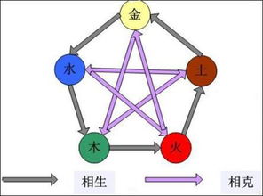 2. 五行相合/相克的考量因素