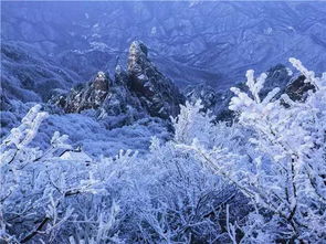 ：冬日北京的惊喜之旅