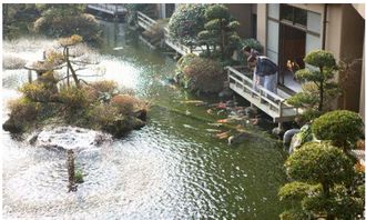葫芦形水池风水,元宝形水池风水好吗