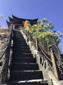 隔壁王婶的惨痛教训！