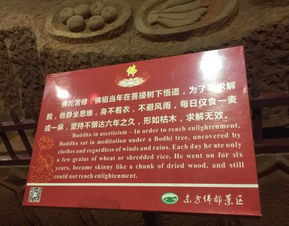 啊啊啊！被80块门票坑到吐血！东方佛都这地方简直了...