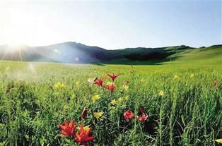 蒙古四季风情，尽享草原魅力！