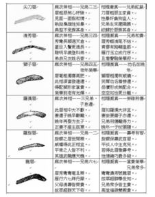 眉毛高低决定命运？这波操作太骚了！